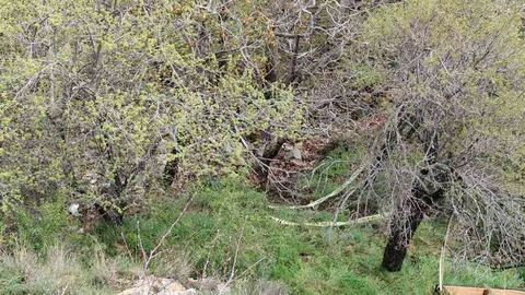 Isparta'da Yüksekten Düşme Olayı