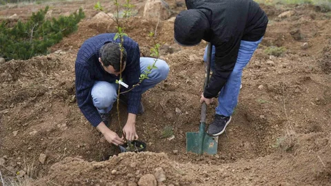 Gümüşhane Üniversitesi’nde Meyve Bahçesi Kuruldu