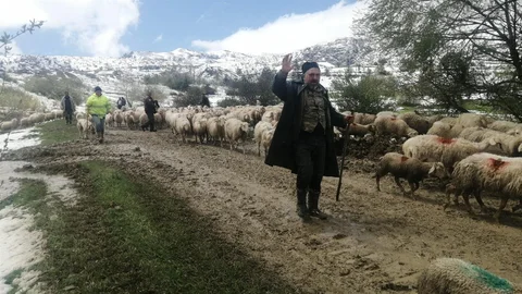 Isparta'da Mahsur Kalan Çobanlar Kurtarıldı