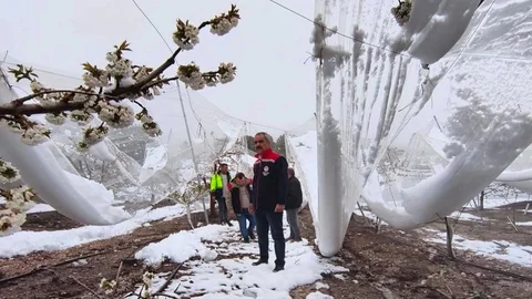 Toroslar'da Hasar Tespit Çalışmaları Başladı