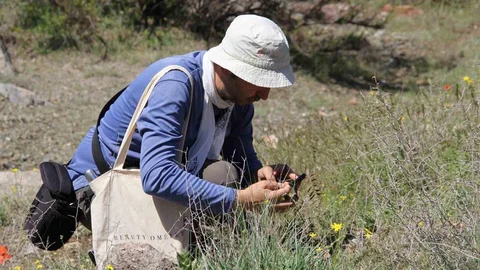 Darende'de Flora Projesi Tamamlandı