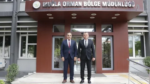 Aydın'da Kestane Ağaçları Korunuyor