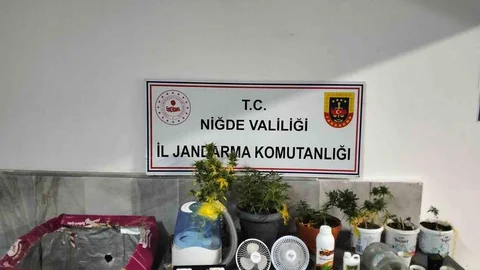 Niğde’de Kenevir Yetiştirenlere Operasyon Yapıldı