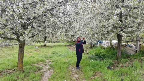 Zirai Don Hasar Tespiti Yapıldı