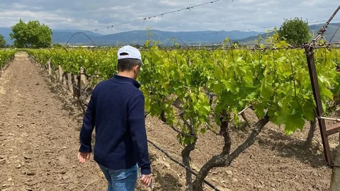Manisa'da Yağış Sonrası Hastalık Riski Artıyor