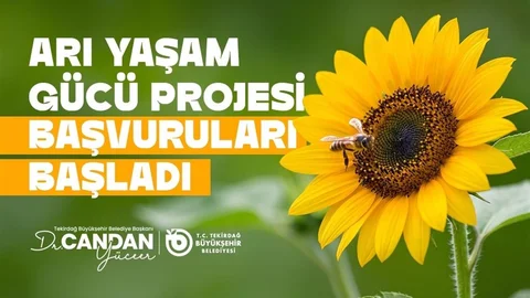 Tekirdağ'da Arıcılara Yem Desteği Başladı