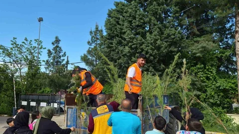 Batman'da Mezarlıklarda Fidan Dağıtımı