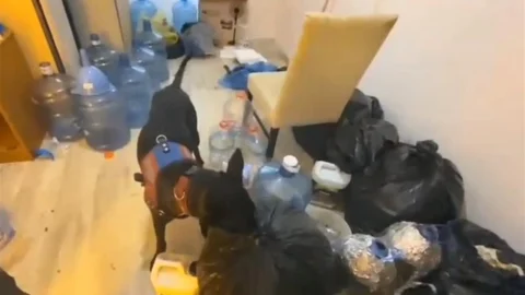 Kuşadası'nda Uyuşturucu Operasyonu