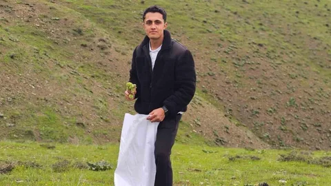 Muş'ta Yayla Muzu Toplama Zamanı