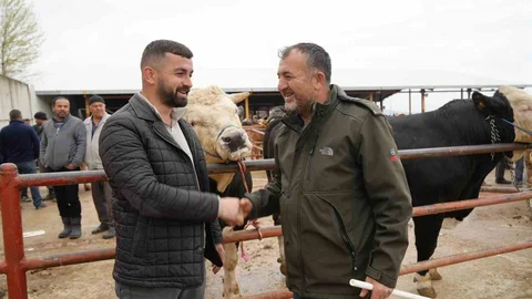 Kastamonu'da Kurban Bayramı Hareketliliği Başladı