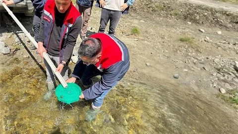 Yığılca'da Alabalık Yavrusu Bırakıldı