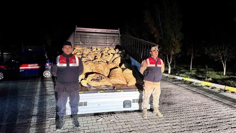 Van'da Kaçak Balık Avı Yapıldı