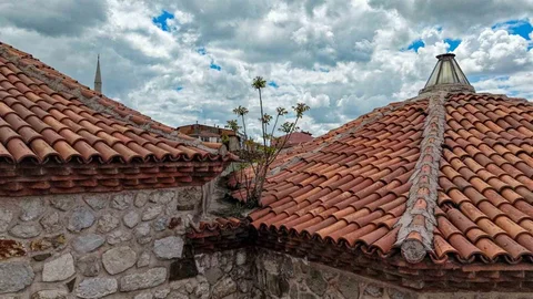 Çorum'da Çatıda Yetişen Ağaç