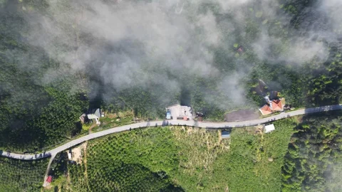 Sakarya'da Görülmemiş Sis Manzarası