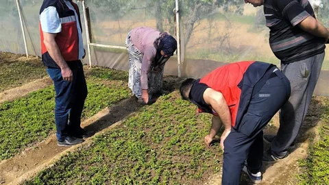 Emet'te Sera İncelemeleri Yapıldı