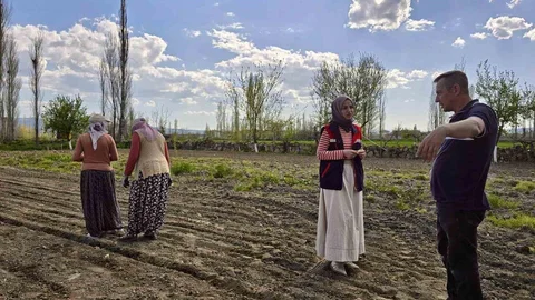 Afyonkarahisar'da Tarım Kontrolleri Devam Ediyor