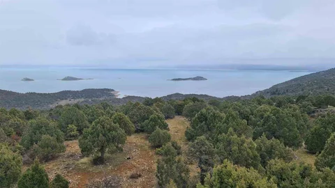 Türkiye’nin En Büyük Tatlı Su Gölü İçin Koruma Çalışmaları