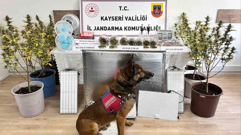 Kayseri'de Uyuşturucu Operasyonu Yapıldı