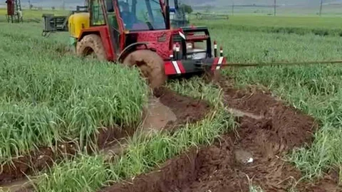 Gaziantep'te Yağışlar Hasadı Geciktirdi