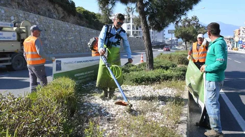Kuşadası'nda Refüj Bakım Çalışmaları