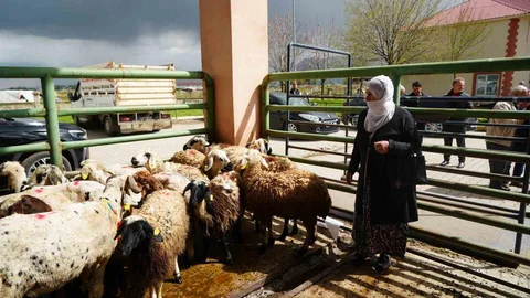 Kadın Üreticilere Destek Projesi Başladı