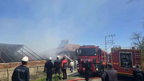 Ordu'da 3 Katlı Binada Yangın Çıktı