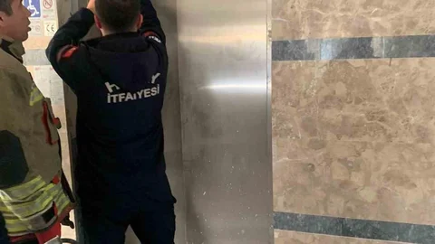 Yavru Kedi Asansör Boşluğundan Kurtarıldı