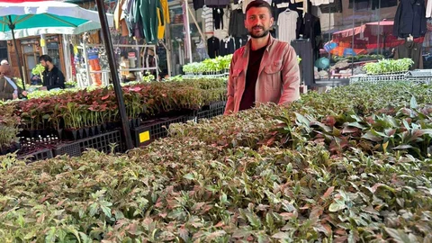 Van'da Fide Satışları Artıyor