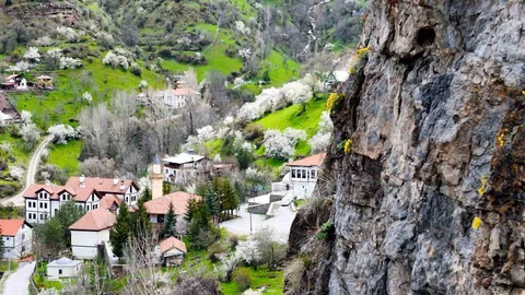 Gümüşhane'de Fışkıran Draba Çiçekleri İlgi Görüyor