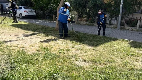 Didim'de Yeşil Alan Çalışmaları