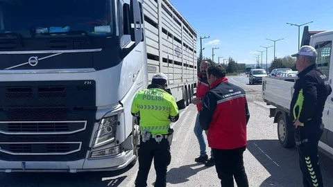 Uşak'ta Hayvan Sağlığı Denetimleri Devam Ediyor