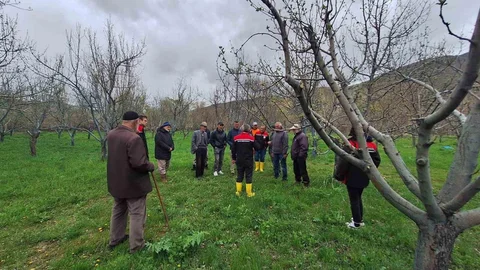 Otlukbeli'nde Budama Eğitimi Düzenlendi