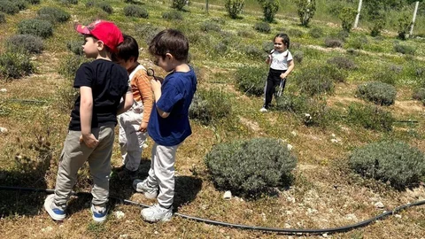 Yunusemre'de Minikler Doğayla Buluştu