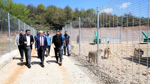 Kocaeli'de Yeni Hayvan Barınağı Açıldı