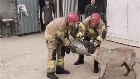 Bursa İnegöl'de Köpek Kurtarıldı