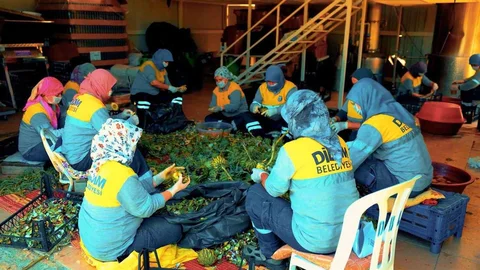 Didim'de Doğal Ürünler Satışı