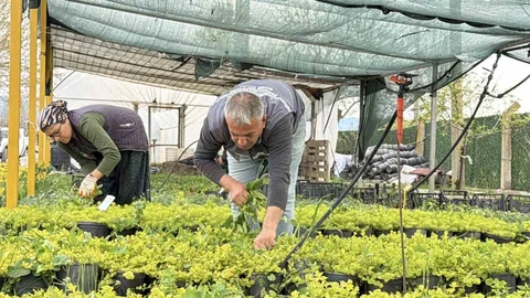 Balıkesir'de Su Tasarruflu Peyzaj Dönemi