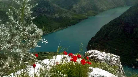 Araban Ovası'nda Bahar Renkleri
