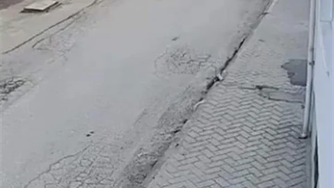 Küçük Çocuğu Korkutan Köpek Olayı