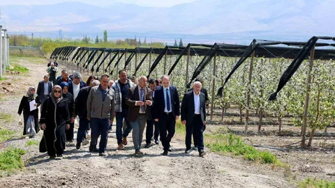 Ana Arı Yetiştiriciliği Kursu Tamamlandı