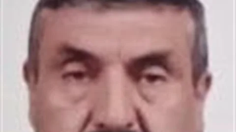 Samsun'da Ağaç Kazası