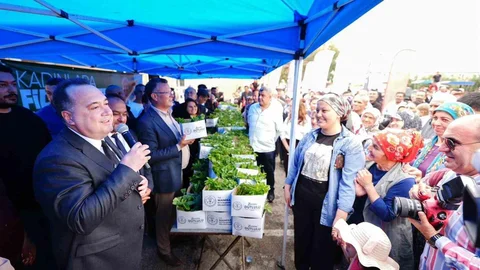 Manisa Alaşehir'de 300 Bin Fide Dağıtıldı