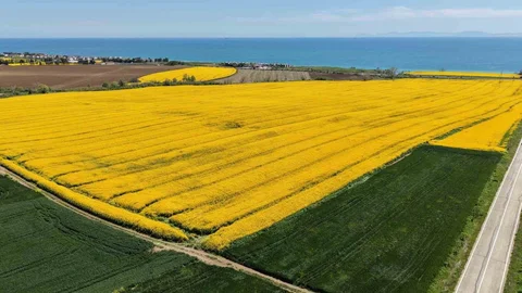 Tekirdağ’da Bahar Renkleri Ortaya Çıktı