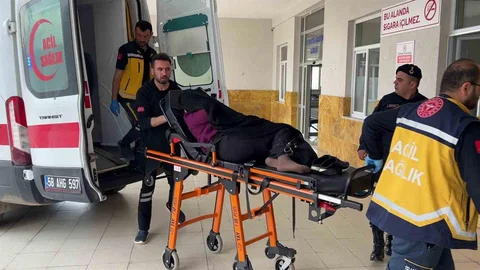 Sivas'ta İnek Kavgası Kanlı Bitti