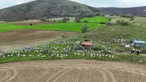 Yozgat'ta Arıcılık Sezonu Başladı
