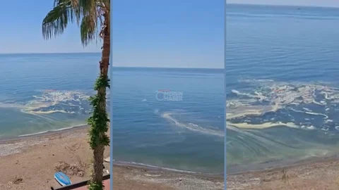 Mezitli’de Sintine ve Yakıt Atıkları Kıyıya Vurdu: " Açıktaki Gemiler Boşaltıyor" İddiası