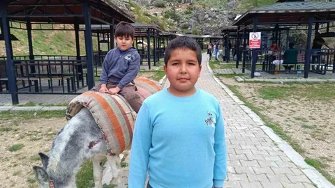 Homurlu'da Eşek Turları Başladı