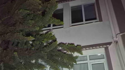 Ankara'da Ağaç Yangını Problemi