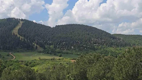 Gökyüzünde Pelikan Göçü Tekirdağ'da