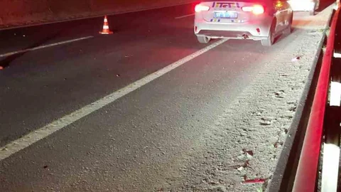 Atların Yola Çıkması Zincirleme Kazaya Neden Oldu